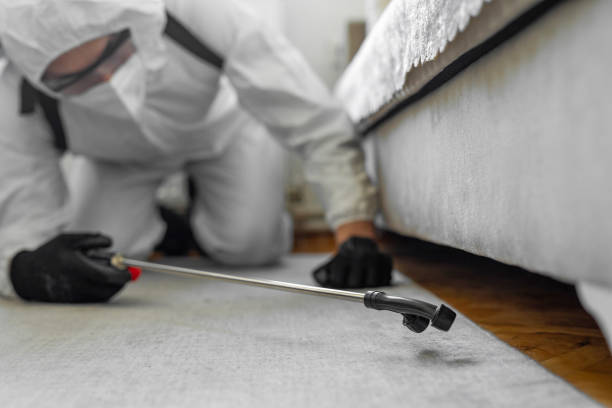 Professional Bed Bug Control technician working in Caldwell County County, NC